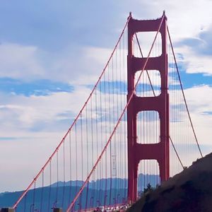 Meet your Posher,maya